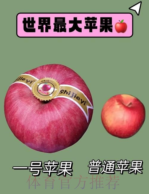 世界杯外围苹果全站 世界杯外围苹果全站